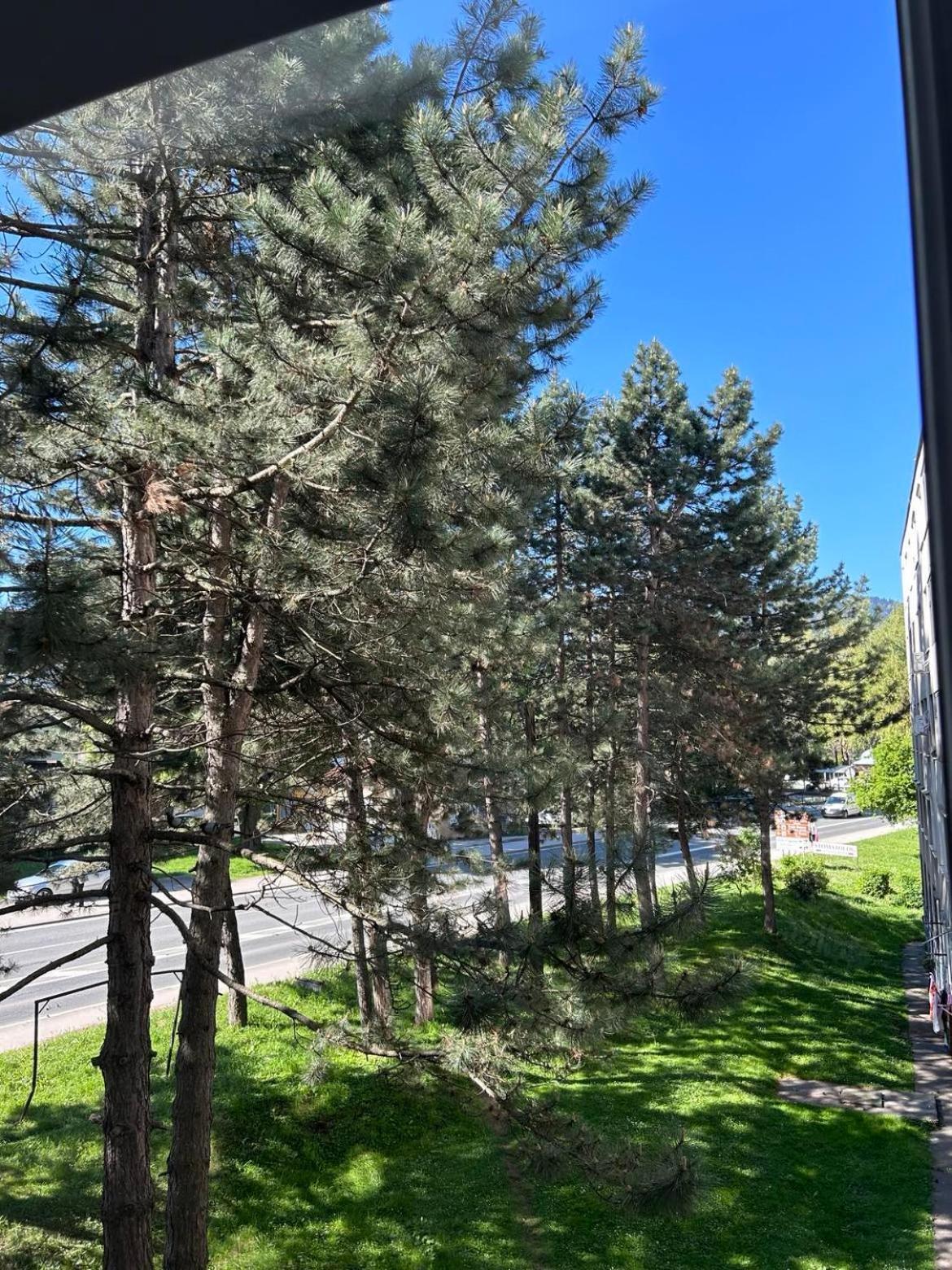 Nayla Sarajevo